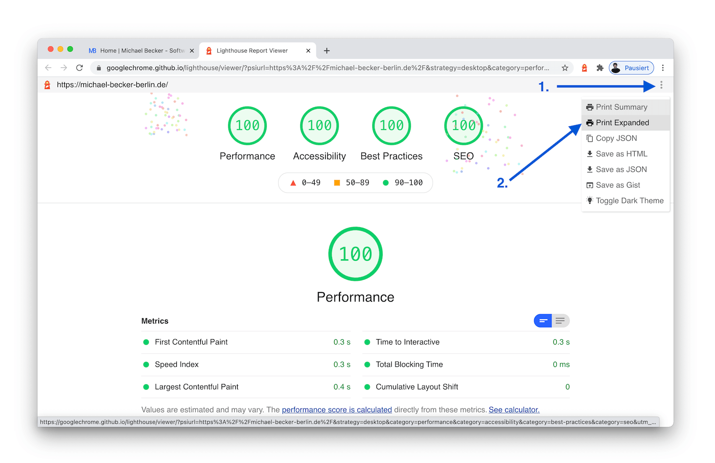 Screenshot wie sich der Lighthouse Report drucken lässt